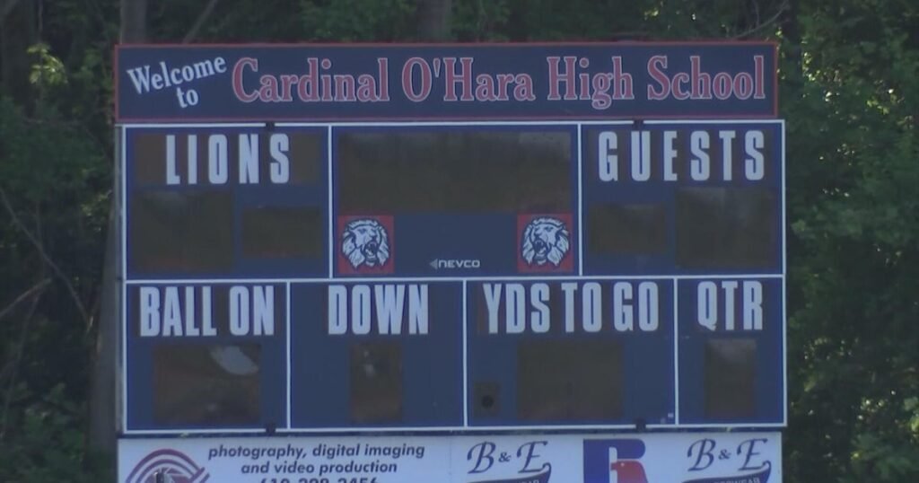 Hero Bowl, a charity football game in Delaware County, canceled midgame after brawl erupts at Cardinal O’Hara Hero Bowl, a charity football game in Delaware County, canceled midgame after brawl erupts at Cardinal O'Hara