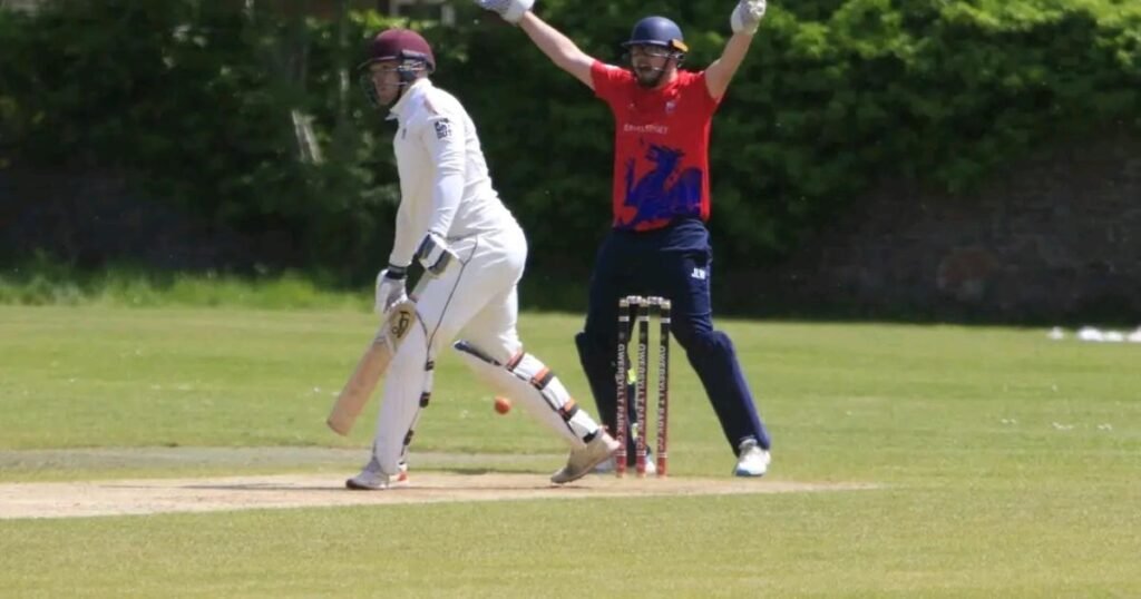 Round-up of scorching North Wales Cricket League action!