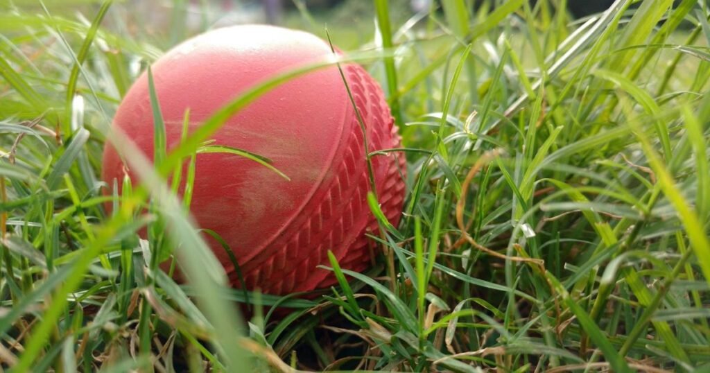 South Wales cricket leagues: All the results from May 23