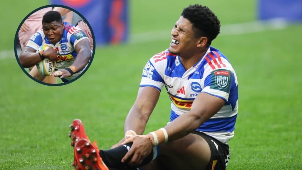 Springbok’s ‘demolition job, Sacha Feinberg-Mngomezulu concern Springbok's 'demolition job, Sacha Feinberg-Mngomezulu concern