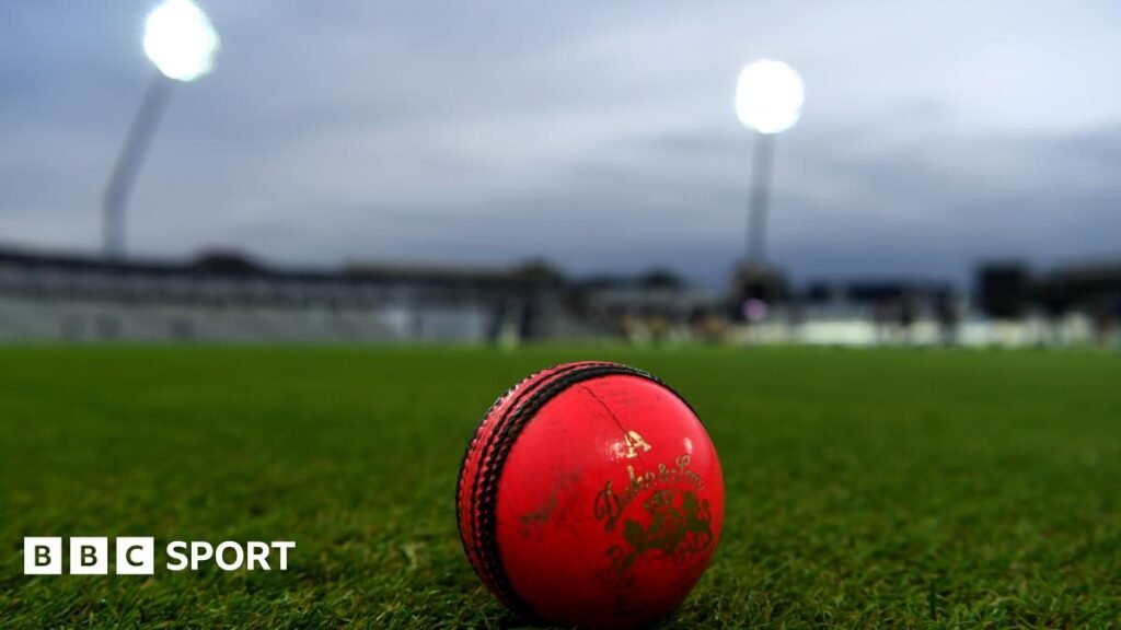 ICC to trial pink balls to limit bad light stoppages Image of a pink ball at the boundary edge, beneath floodlights
