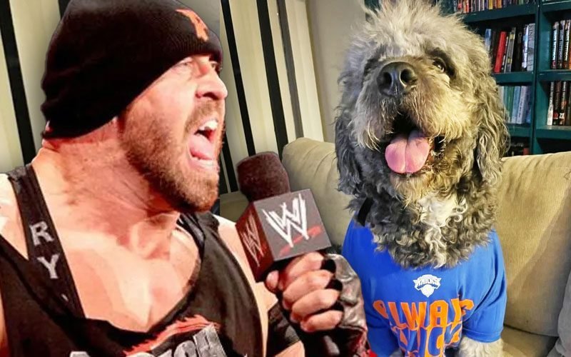 Ryback Demands Better Training After LAPD Shoots Family Dog During Knicks Celebration Ryback Demands Better Training After LAPD Shoots Family Dog During Knicks Celebration