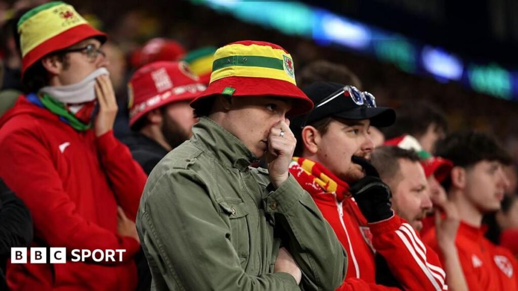 Wales fans in bucket hats look on pensively during the defeat by Bosnia
