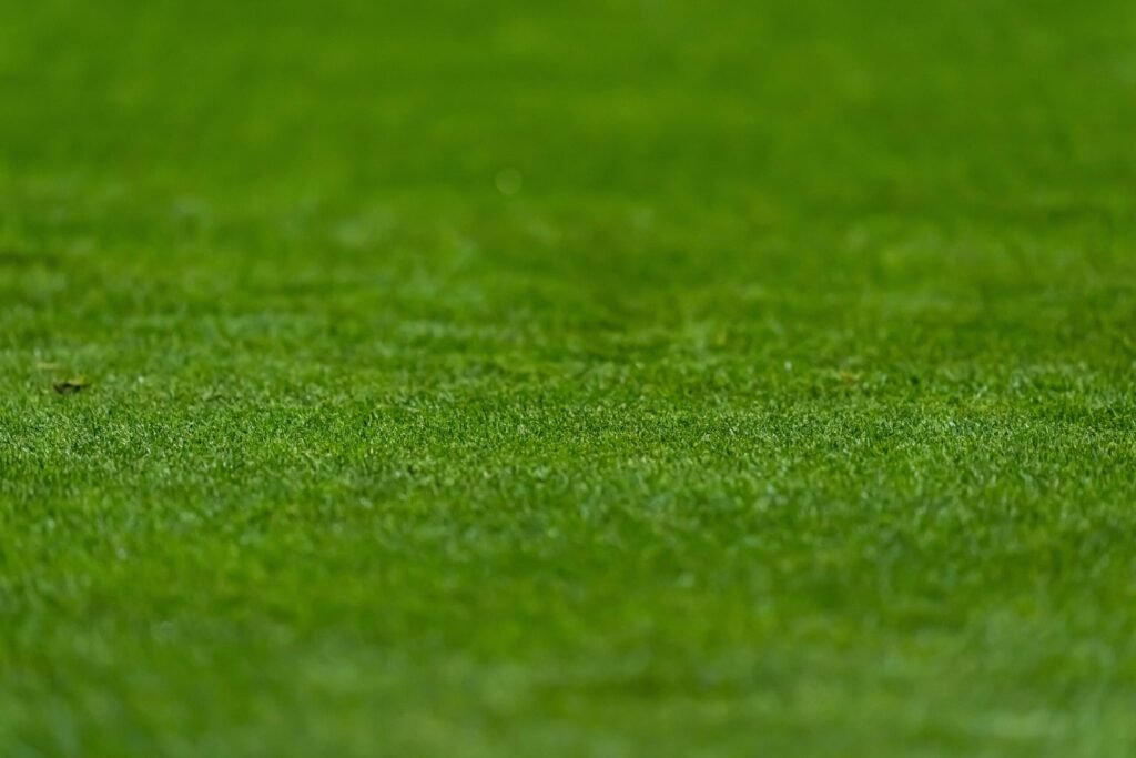 England 7/1 to Be Shown a Red Card Against Argentina England 7/1 to Be Shown a Red Card Against Argentina