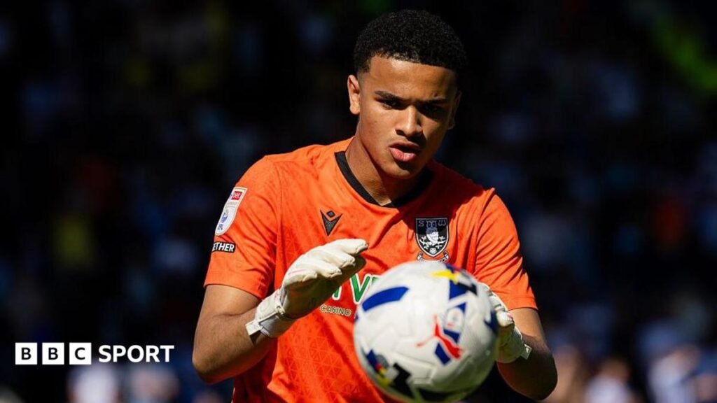 Pierce Charles: QPR sign former Sheffield Wednesday goalkeeper on loan Pierce Charles concentrates on catching the ball in his hands, wearing orange goalkeeping jersey