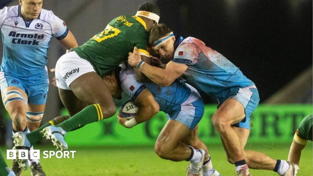 Springboks will provide rising Scots with true yardstick Scotland against South Africa