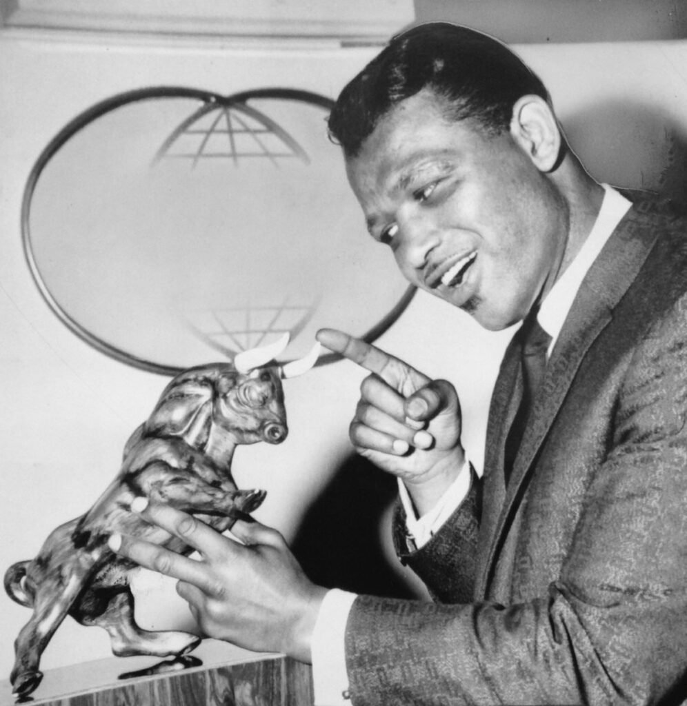 Image: Sugar Ray Robinson Wouldn