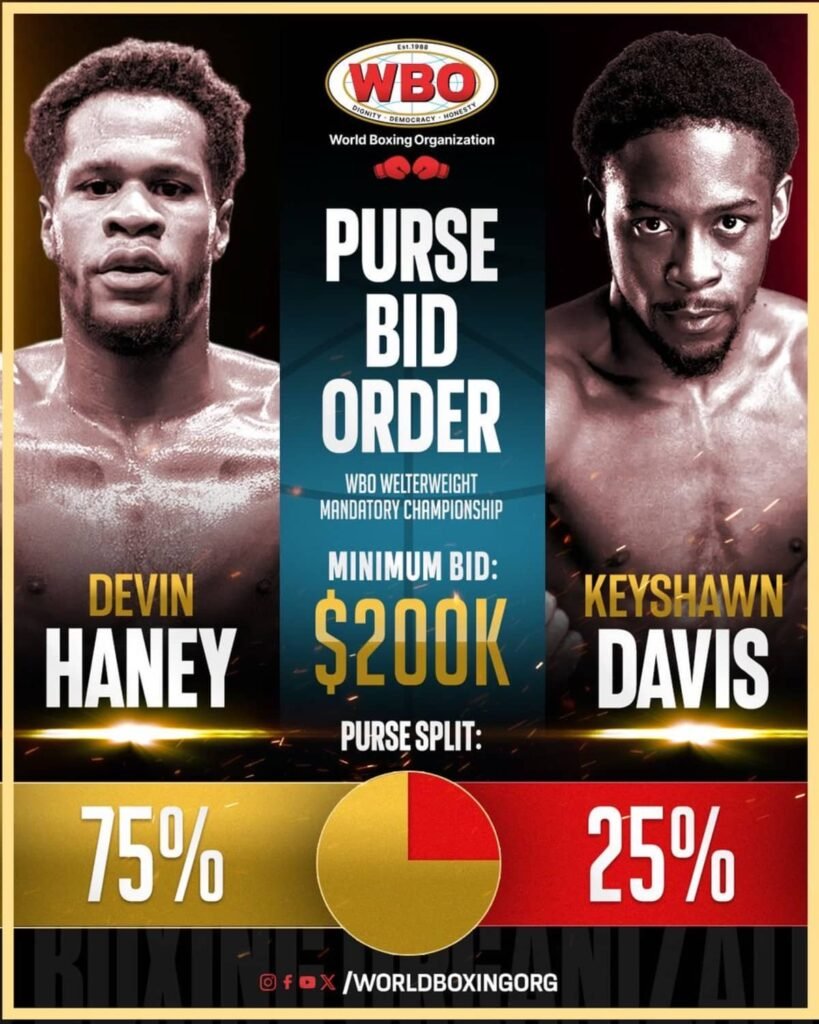 WBO Purse Bid Gives Haney Full Control Over Keyshawn Fight WBO Purse Bid Gives Haney Full Control Over Keyshawn Fight
