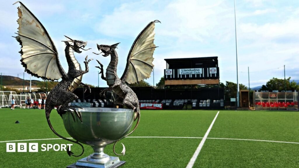 Cymru Premier trophy on the pitch at Llandudno FC