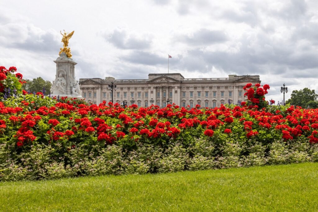 3/1 For England Star To Be Knighted By 2030 3/1 For England Star To Be Knighted By 2030